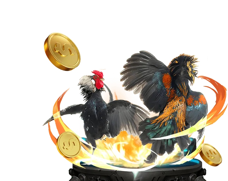 Trực tiếp đá gà cn3789 casino